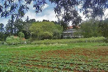 Quinta Das Colmeias Guest House Santo Antonio da Serra